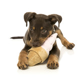 Ice Cream Cone  Dog Toy - SPECIAL OFFER!